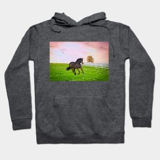 Black Stallion at Dawn Hoodie